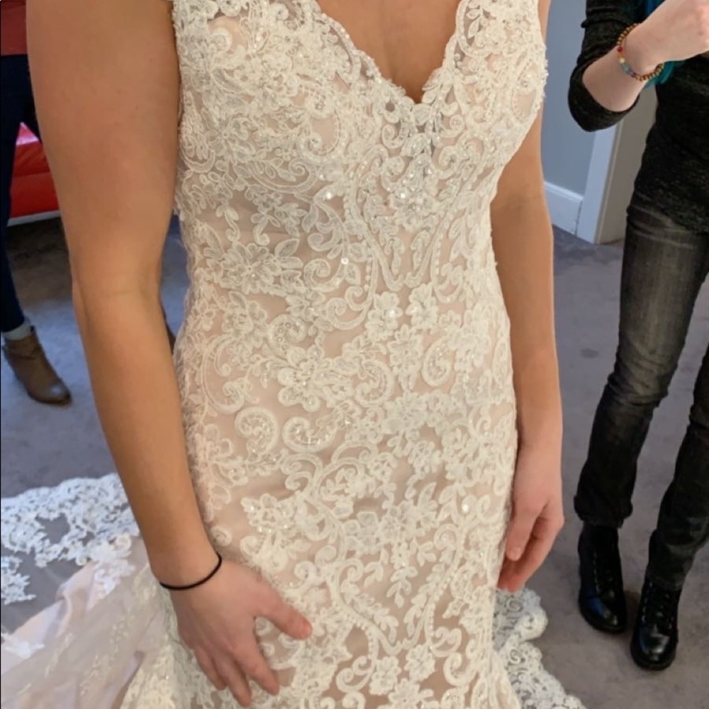 Beautiful wedding dress, champagne underneath with lace and sparkle overlay. - Picture 4 of 12